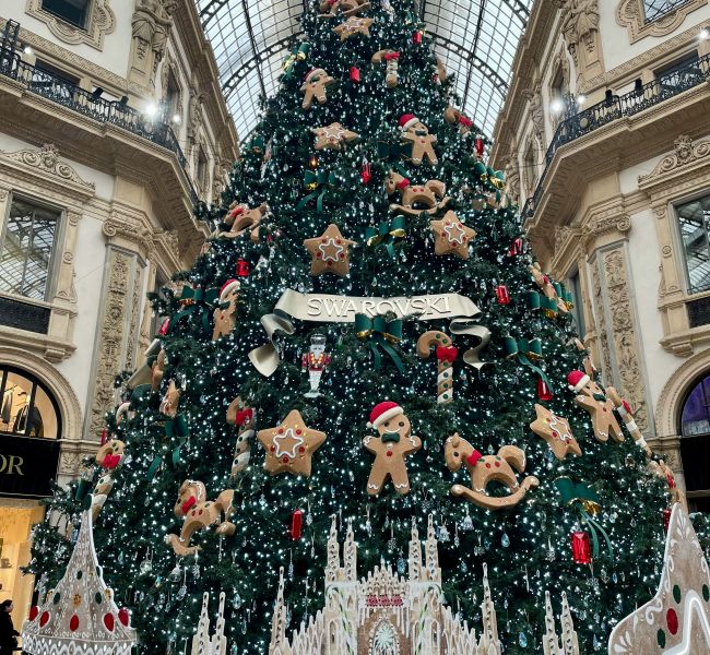 A Natale regala bellezza: offerte speciali dalla Farmacia Gavino!